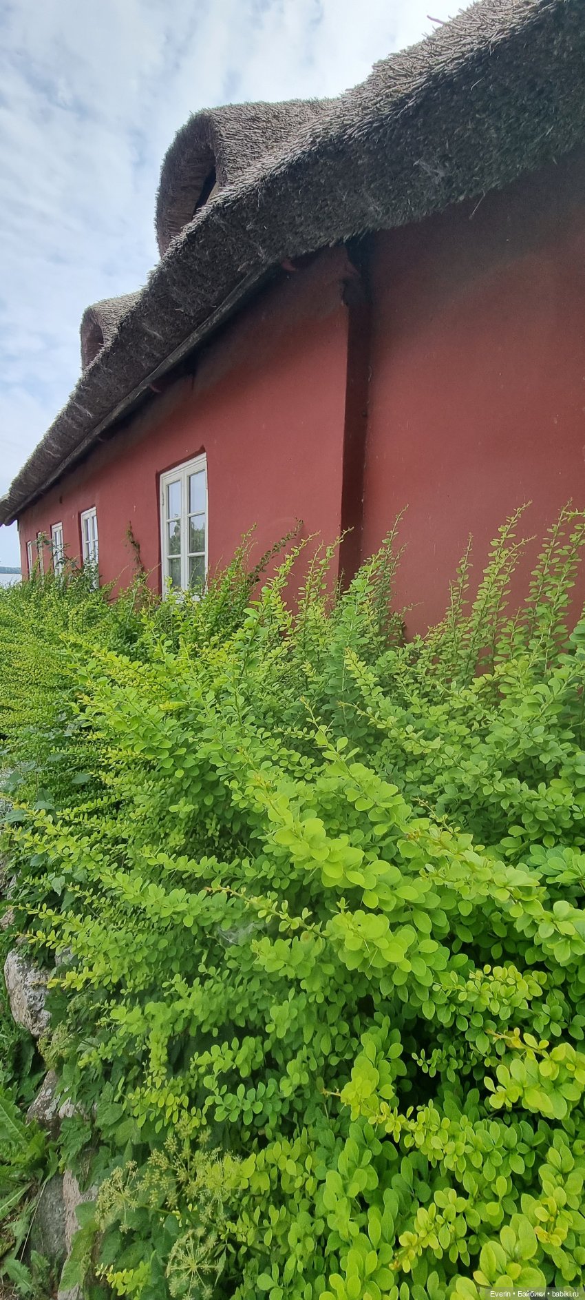 Когда эмоции зашкаливают 2 (фото 3)