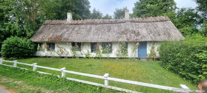 Когда эмоции зашкаливают 2 (фото 5)