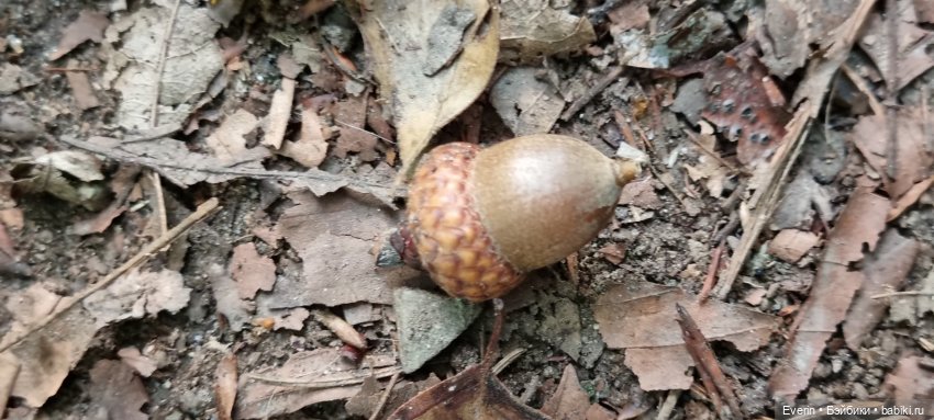 Пойдём погуляем — Куклы Sissel Skille (Сиссель Скилле): Gotz (фото 8)