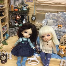 Мой псевдо-норвежский домик. Новоселье