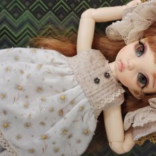 Ромашковое поле