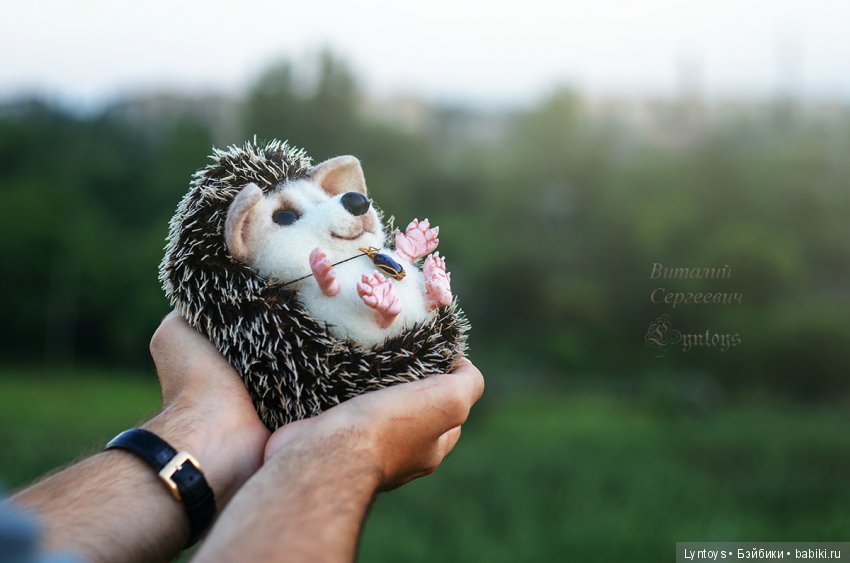 Давайте знакомиться! Мир игрушек из шерсти Виталий Линь (фото 3)