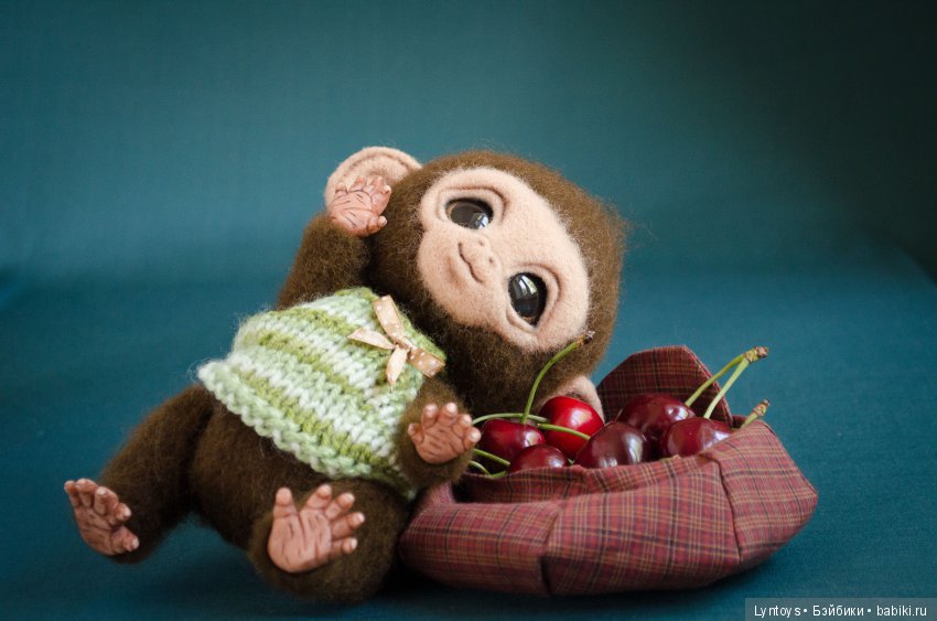 Обезьянчик Томми