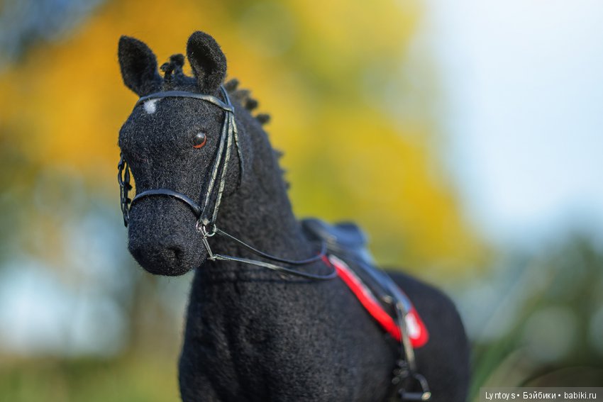 Тракененский конь БлэкБой