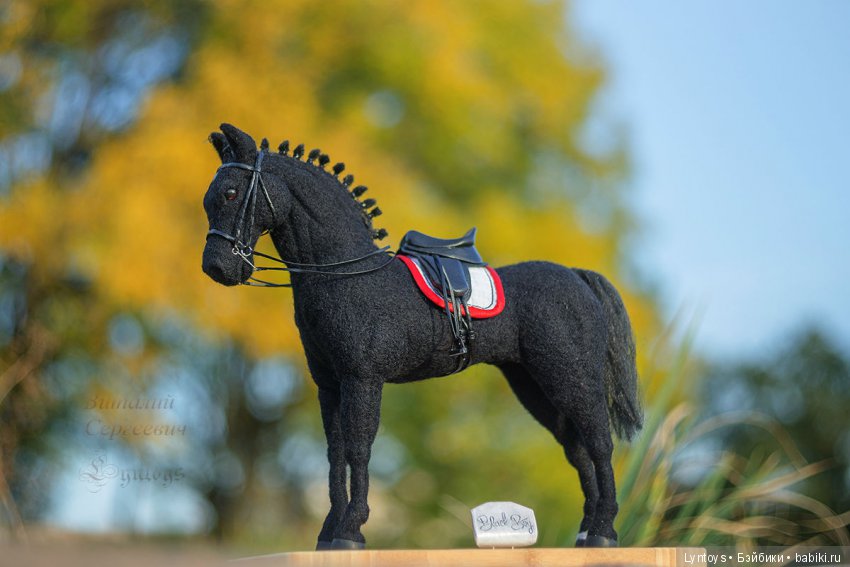Тракененский конь по кличке БлэкБой был выполнен на заказ (фото 2)
