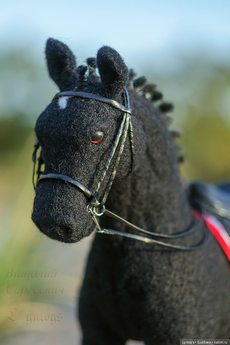Тракененский конь по кличке БлэкБой был выполнен на заказ (фото 5)