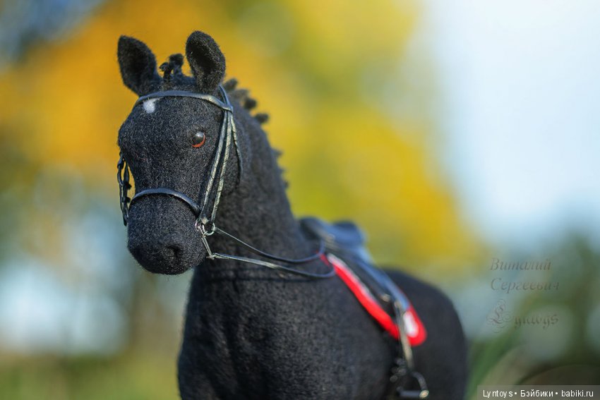Тракененский конь по кличке БлэкБой был выполнен на заказ