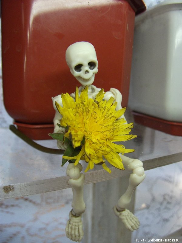 Скелет тоже человек — Разные шарнирные куклы (не БЖД): редкие