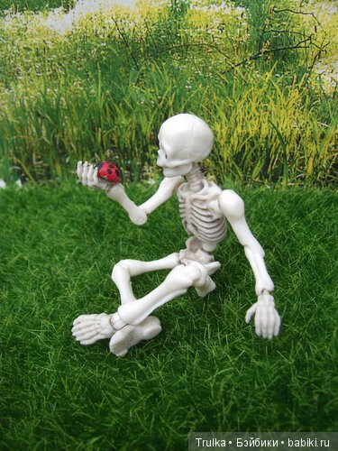 Скелет тоже человек — Разные шарнирные куклы (не БЖД): редкие (фото 3)
