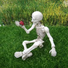 Скелет тоже человек