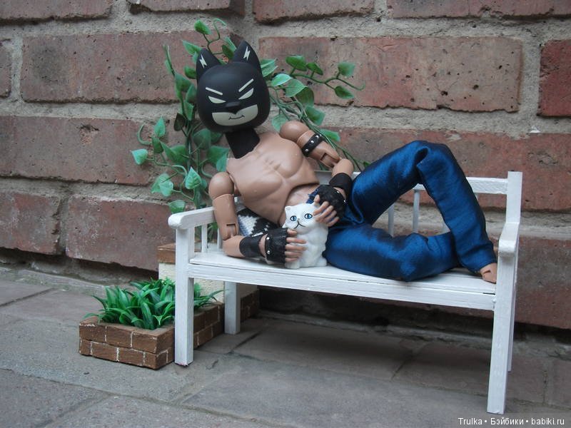 Шесть кошек и одна собачка