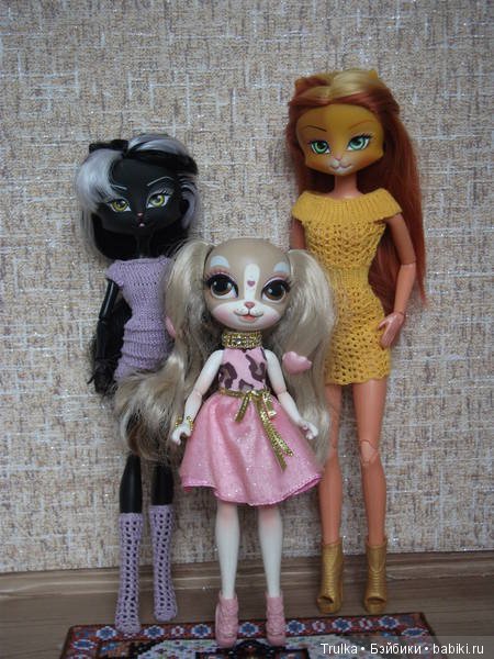 Шесть кошек и одна собачка