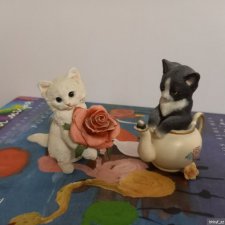 Котята, белый и черный