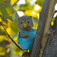 Совенок Джордж