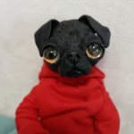 Чёрный мопс собака пес