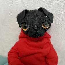 Чёрный мопс собака пес