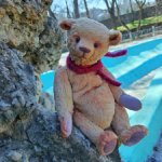 Мишка тедди