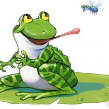 Квакушки вперед!