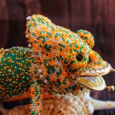 Есть песня "Вова-чума", а у меня сумка