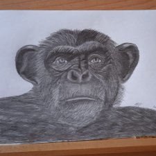 Терапия искусством