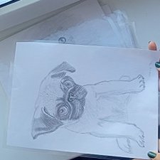 Радости пост