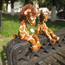 Жирафики тоже разговаривают