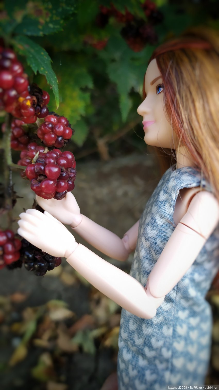 Все в сад | Бэйбики Все в сад — Болталка и разговоры обо всем: жизнь (фото 8)