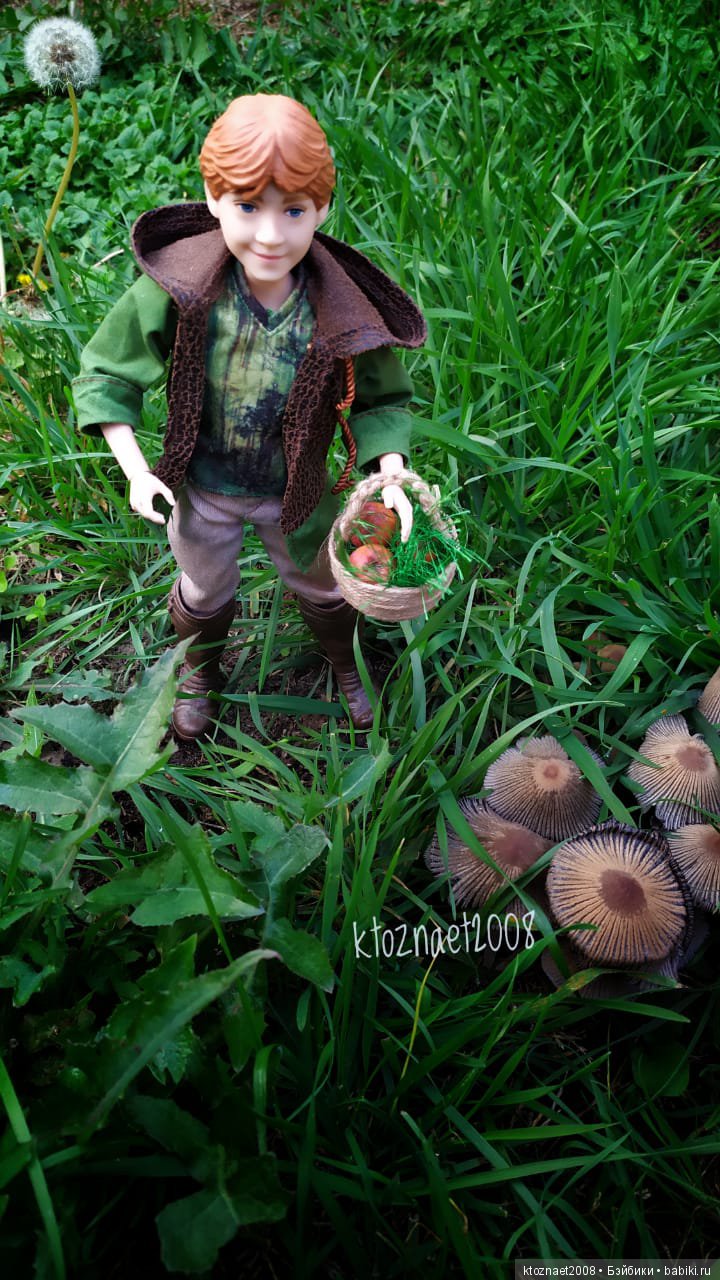 Мы ходили по грибы — Гибриды шарнирных кукол (не БЖД): подбор тела (фото 2)