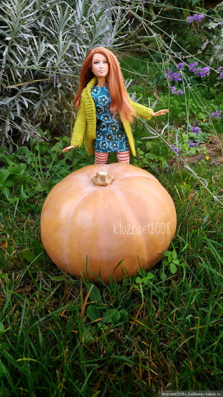 Рыжее чудо — Гибриды шарнирных кукол (не БЖД): подбор тела