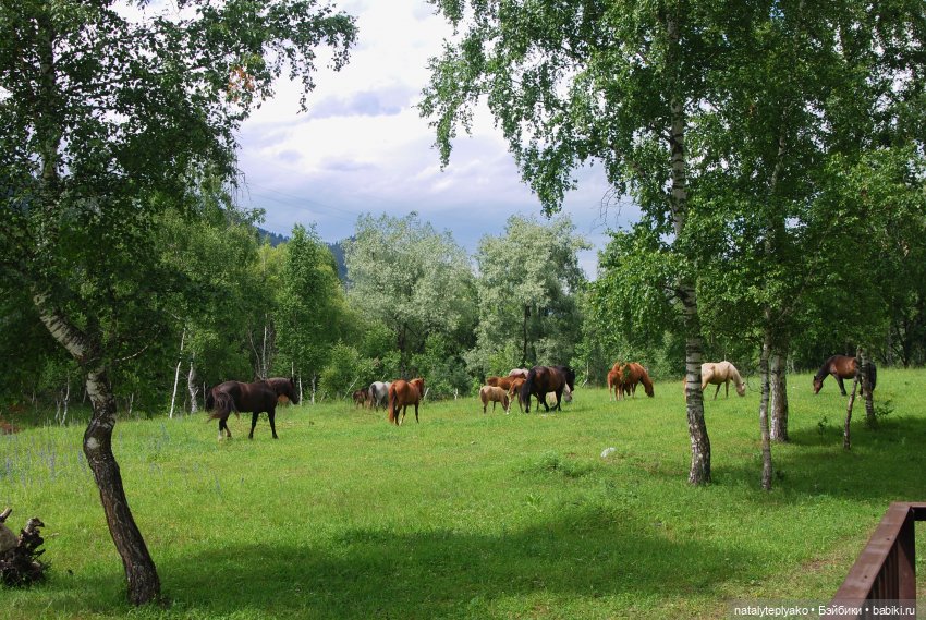 3 дня в Горном (день первый) (фото 5)