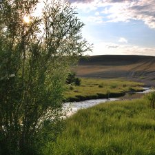 От шума городского убежать