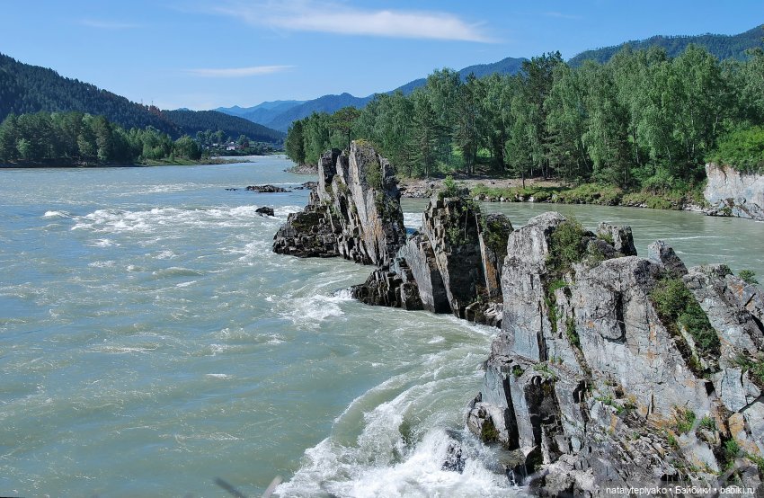 Берегите Алтай — Туризм и путешествия: фотоотчеты из поездок (фото 2)