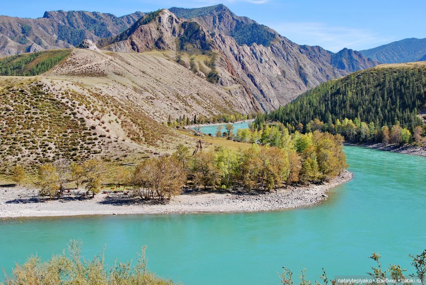 Берегите Алтай — Туризм и путешествия: фотоотчеты из поездок (фото 7)