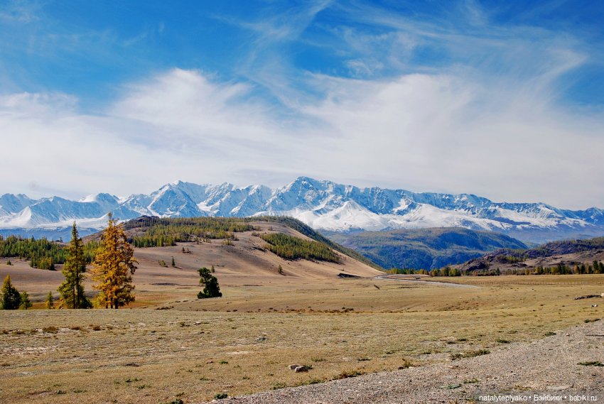Берегите Алтай — Туризм и путешествия: фотоотчеты из поездок (фото 10)