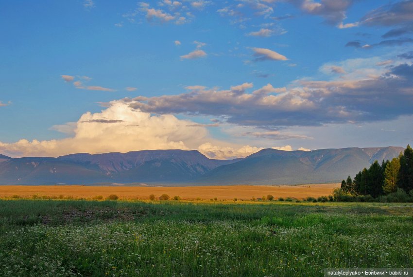 Берегите Алтай — Туризм и путешествия: фотоотчеты из поездок
