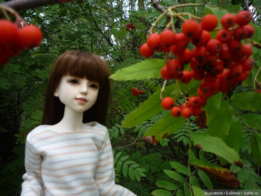 Тёплый сентябрь в Хорошёвке, продолжение