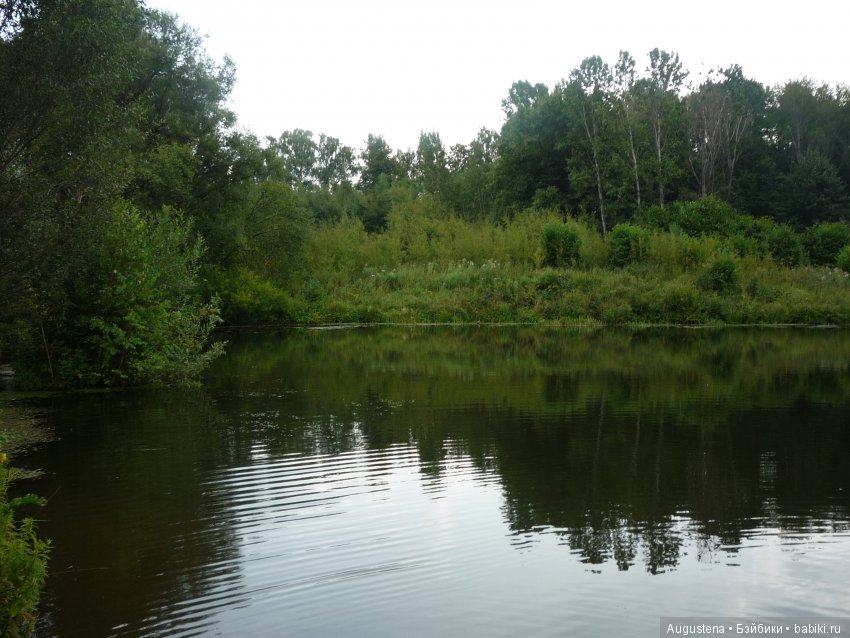 Тёплый сентябрь в Хорошёвке, продолжение (фото 3)