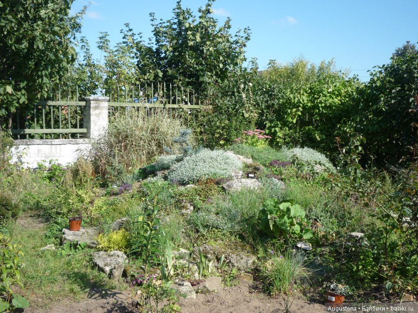 Прогулка в Быково с Николь. Часть 1 (фото 5)