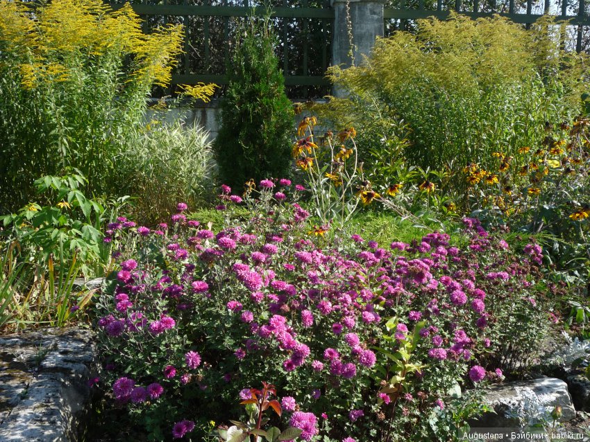 Прогулка в Быково с Николь. Часть 1 (фото 7)