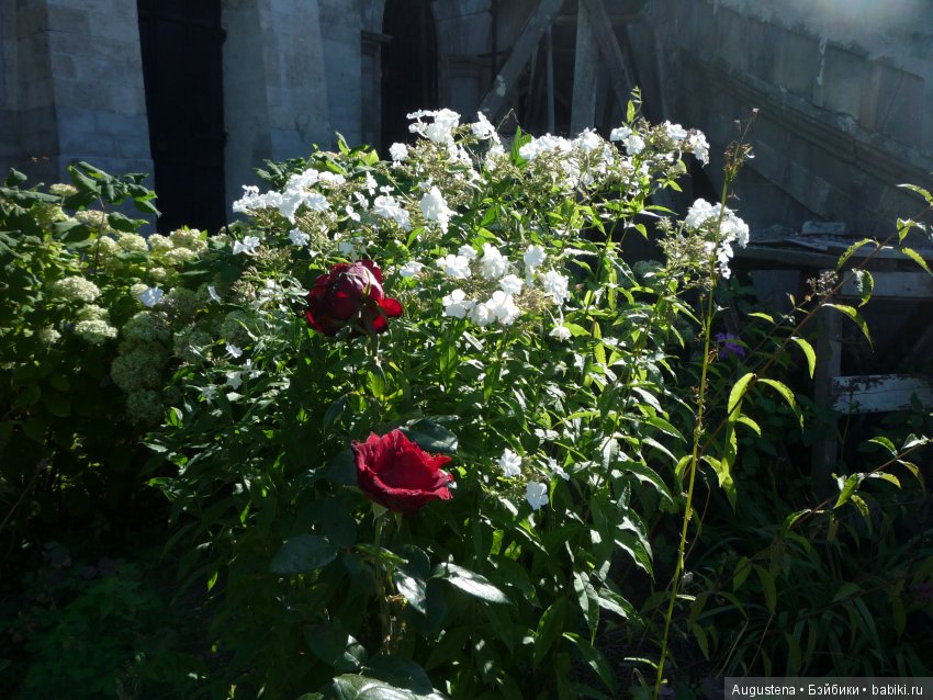 Прогулка в Быково с Николь. Часть 1