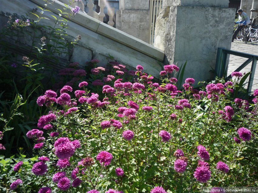 Прогулка в Быково с Николь. Часть 1