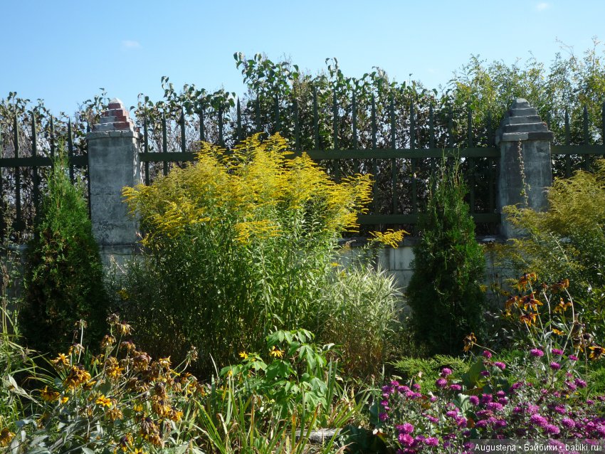 Прогулка в Быково с Николь. Часть 1 (фото 6)