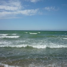 Отчаянно нуждаюсь в помощи зала