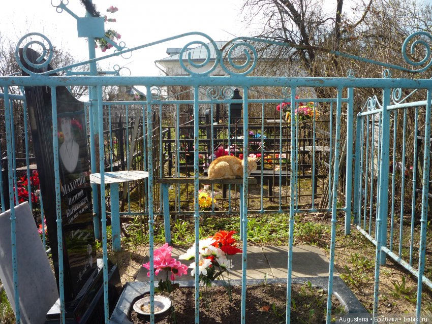 Тверская симфония. Завидово