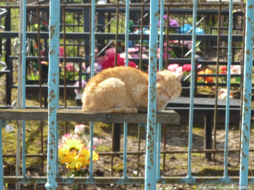 Тверская симфония. Завидово