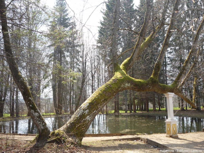 Тверская симфония. Берново (фото 10)