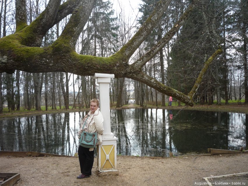 Тверская симфония. Берново