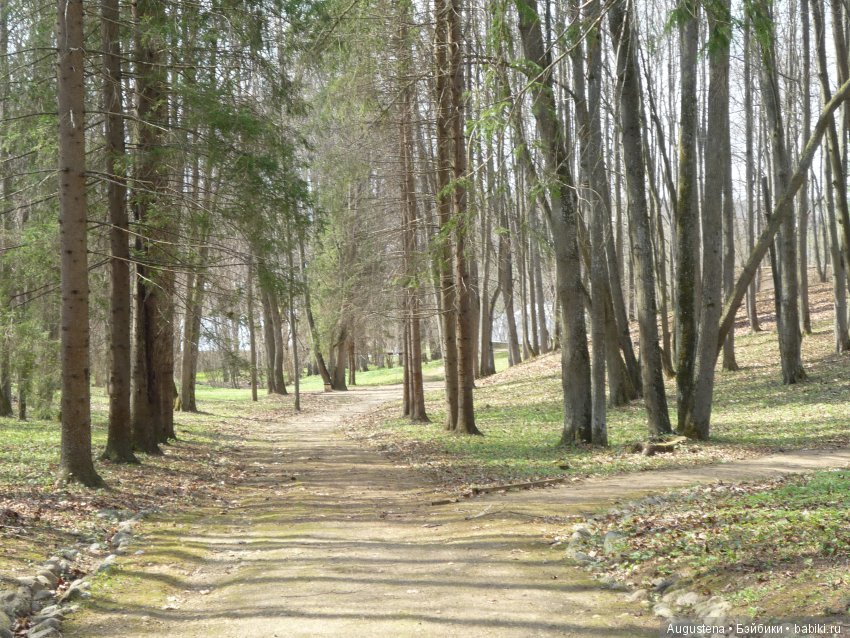Тверская симфония. Берново