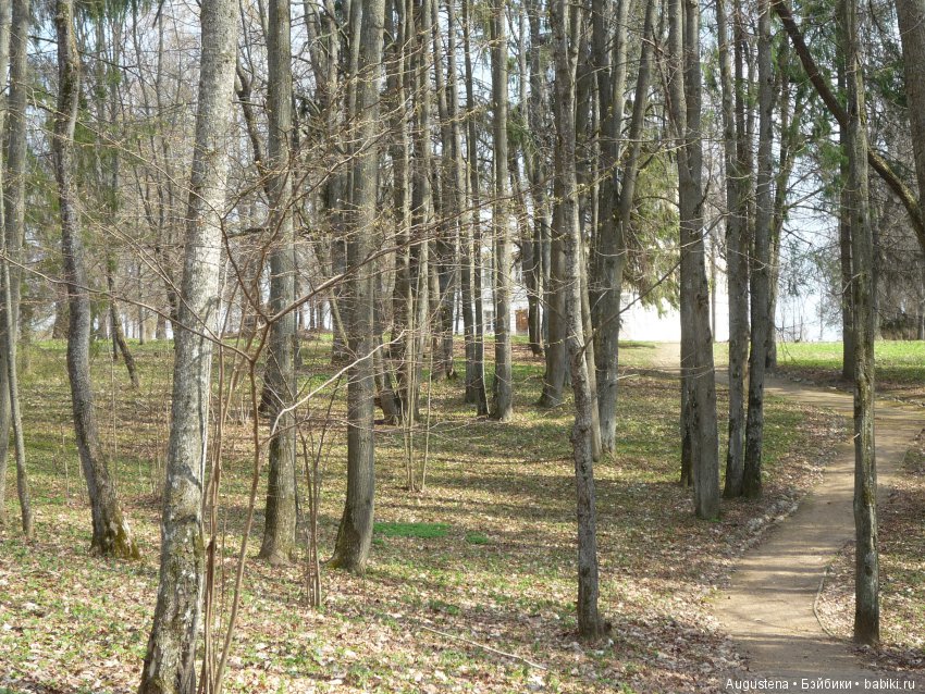 Тверская симфония. Берново