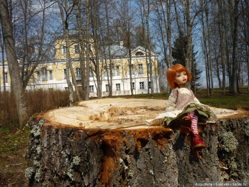 Тверская симфония. Берново (фото 8)